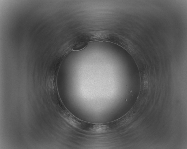 X0000068730514200605011003