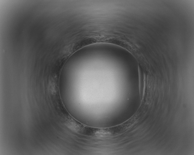 X0000068730515200605011003