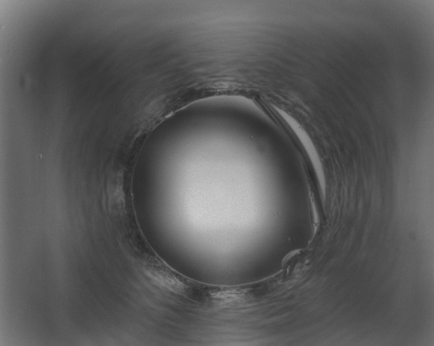 X0000068730516200605011003