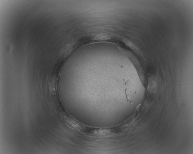 X0000068730517200605011002