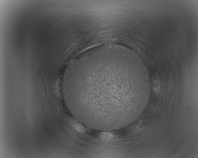 X0000068730519200605011002