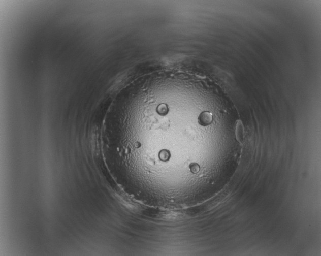 X0000068730527200605011002