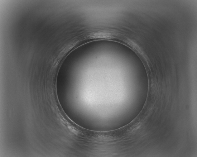 X0000068730529200605011001