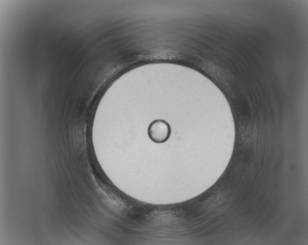 X0000068730534200605011002