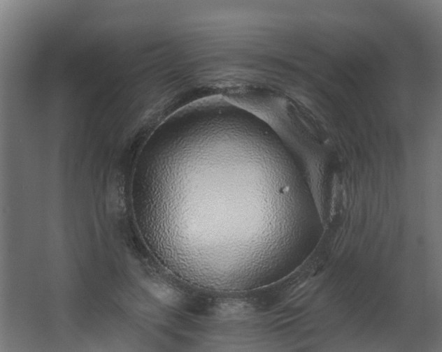 X0000068730547200605011002