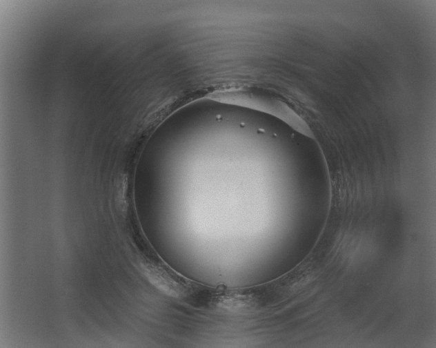 X0000068730550200605011002