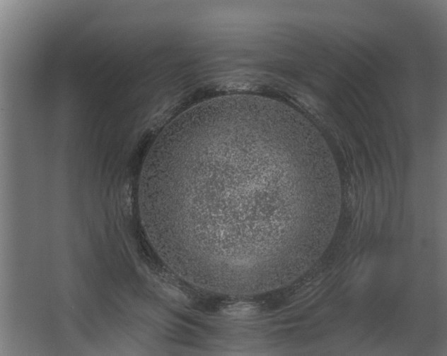 X0000068730551200605011002