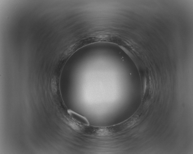 X0000068730562200605011002