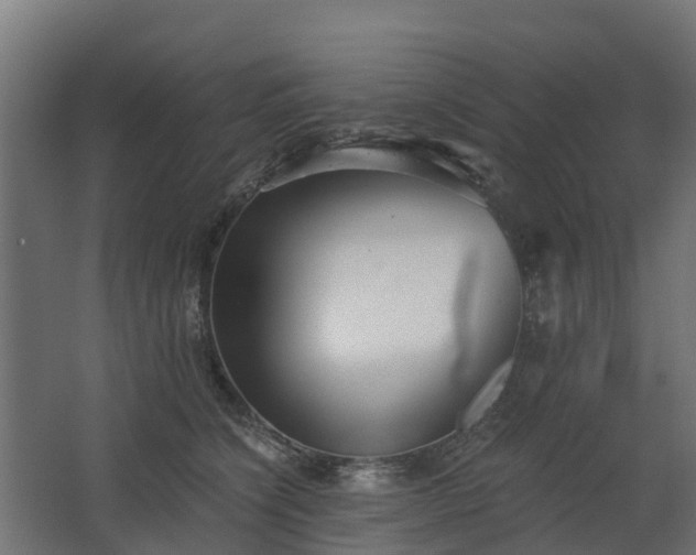 X0000068730564200605011002