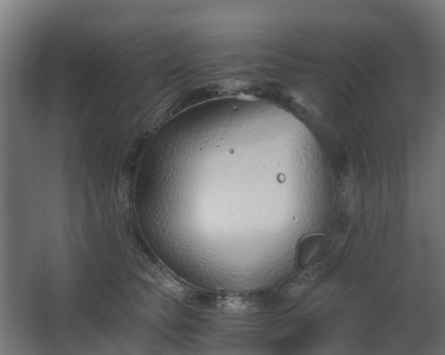 X0000068730565200605011002