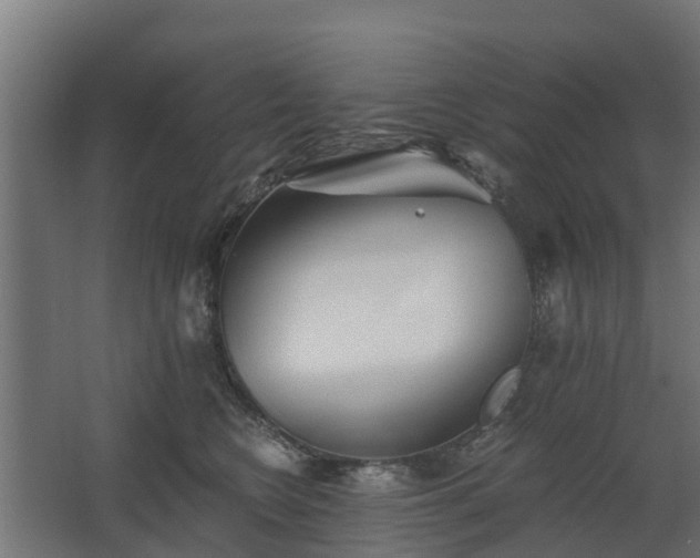 X0000068730566200605011002