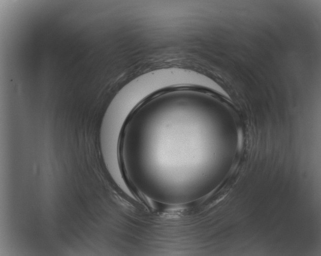 X0000068730574200605011002