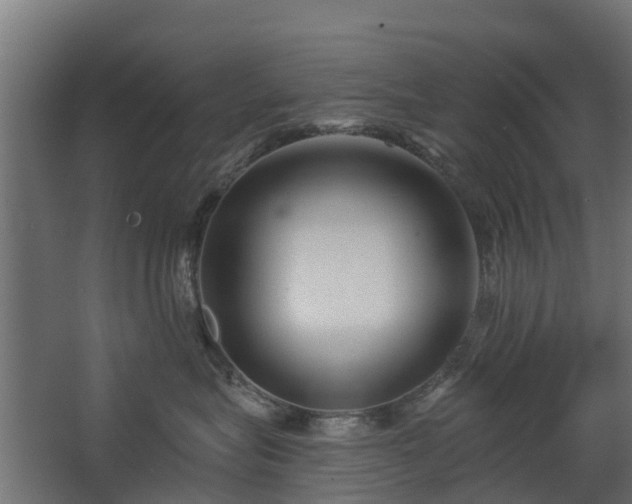 X0000068730575200605011002