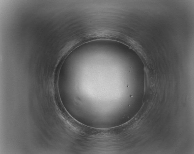 X0000068730578200605011001