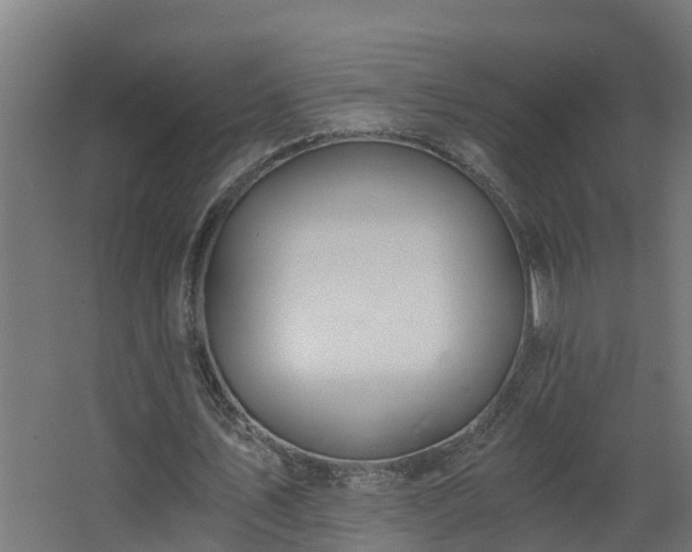 X0000068730579200605011001