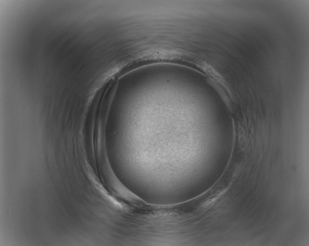 X0000068730581200605011001