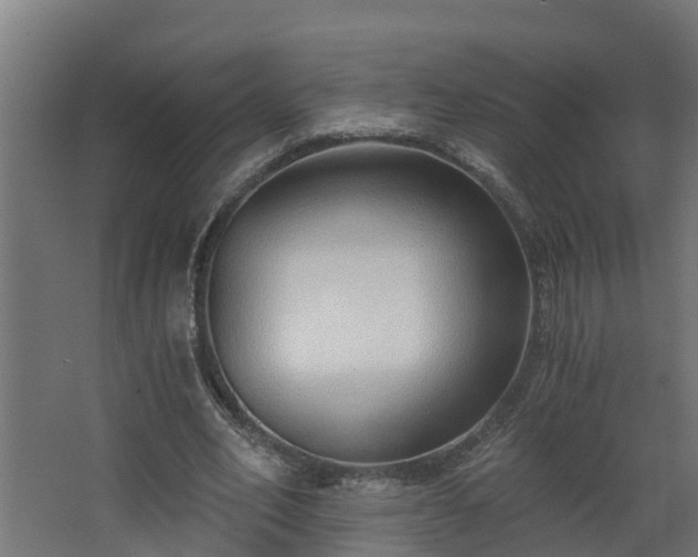 X0000068730582200605011001