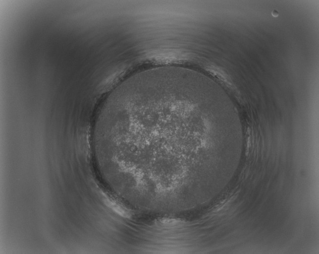 X0000068730590200605011001