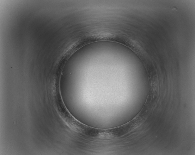 X0000068730591200605011001