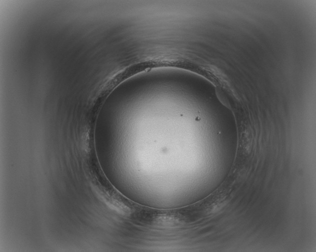 X0000068730596200605011001