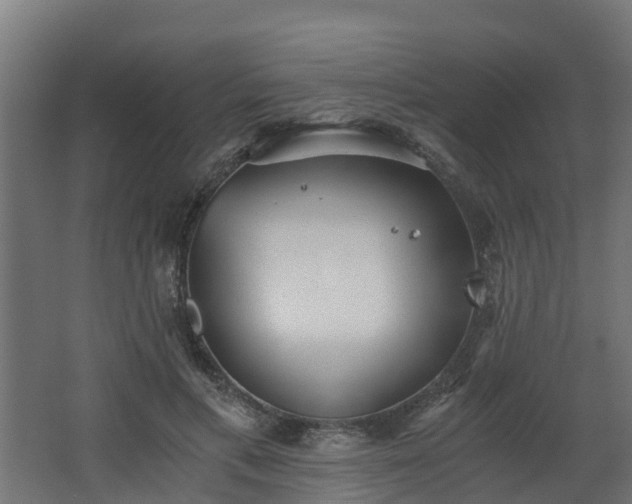 X0000068730597200605011001