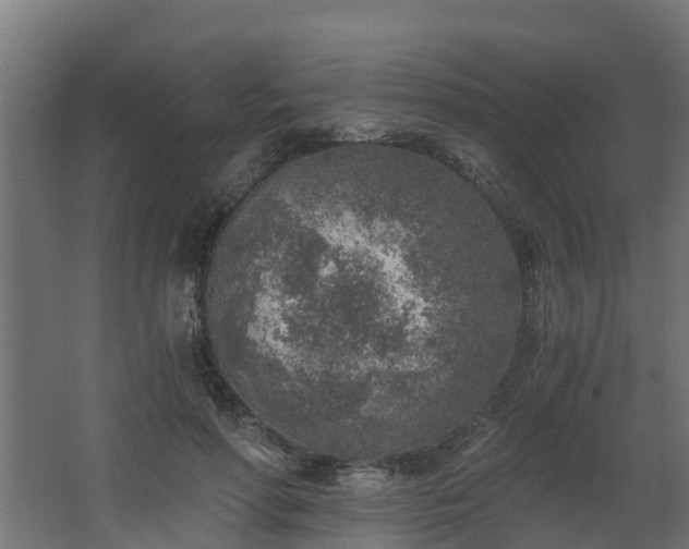 X0000068730598200605011001