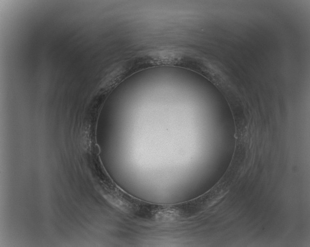 X0000068730599200605011001