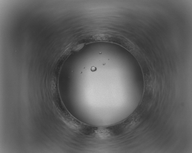 X0000068730603200605011001