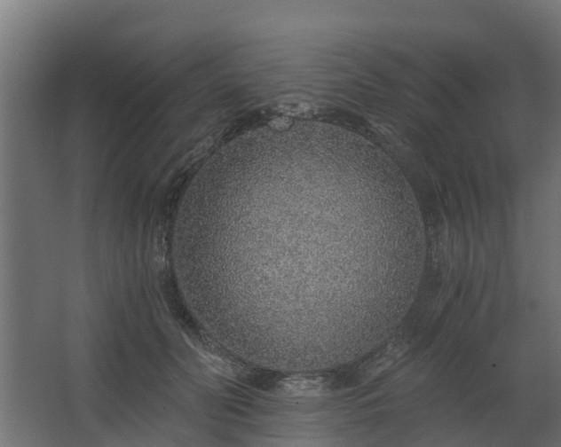 X0000068730606200605011001