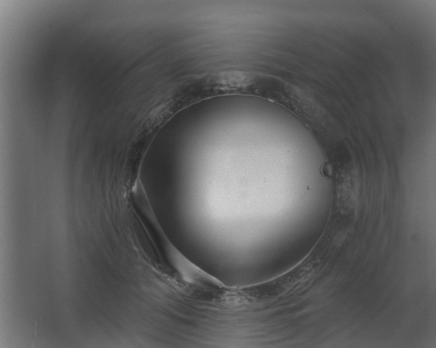 X0000068730608200605011001