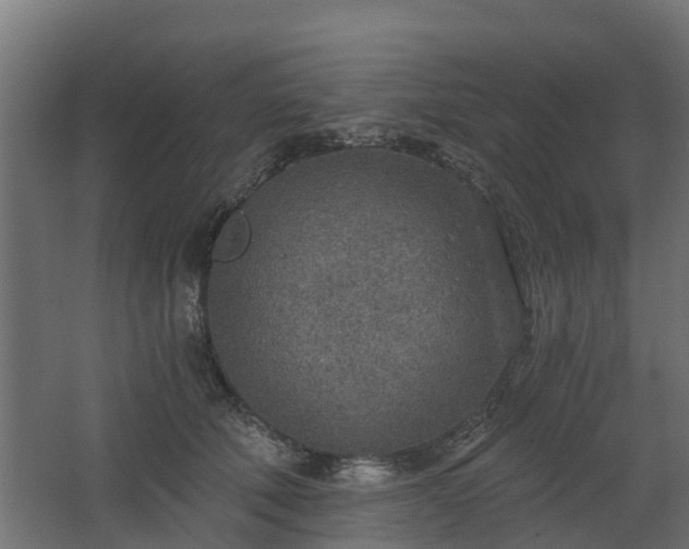 X0000068730610200605011001