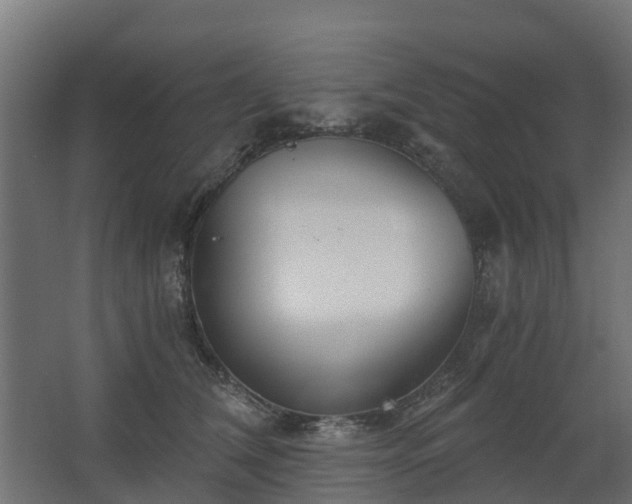 X0000068730612200605011001