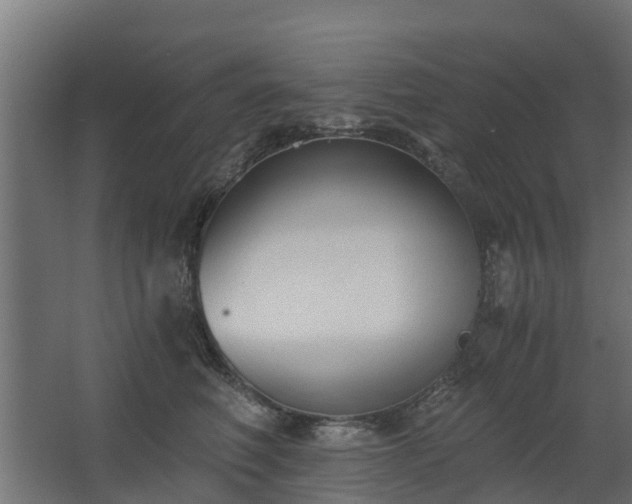 X0000068730614200605011001