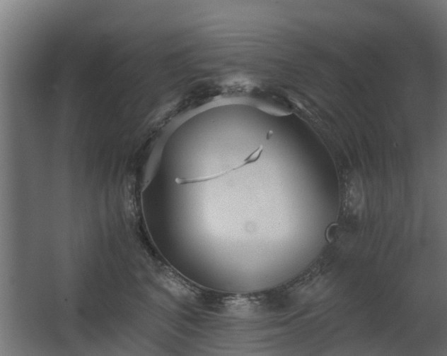 X0000068730616200605011001