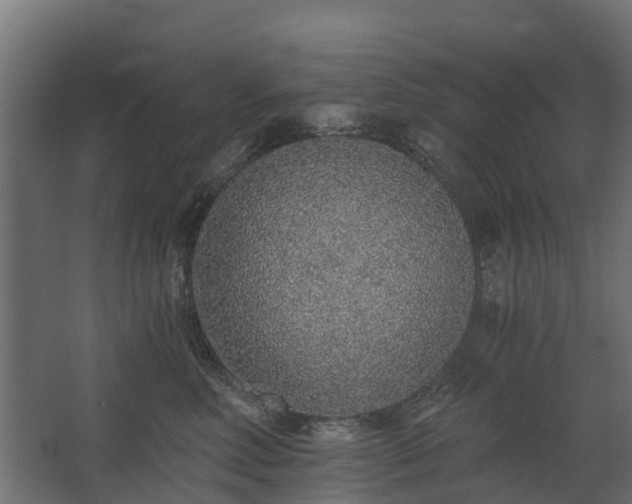 X0000068730618200605011001