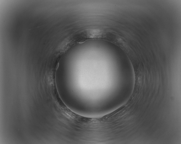 X0000068730620200605011001