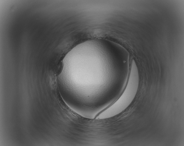 X0000068730624200605011001