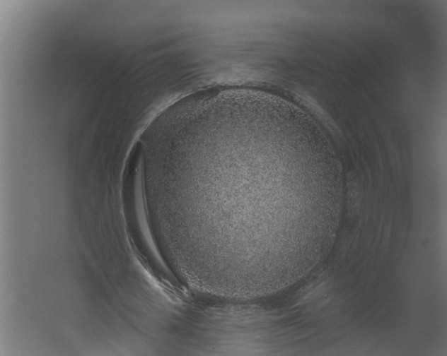 X0000068730626200605011000