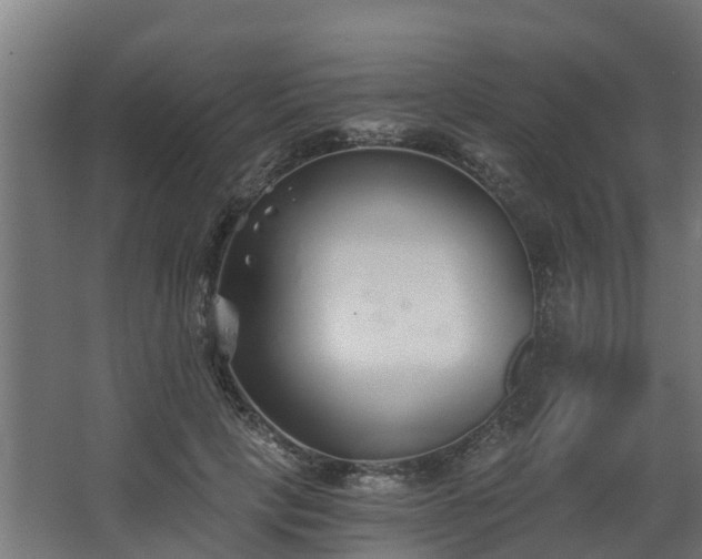 X0000068730649200605011000