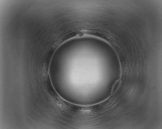 X0000068730651200605011000