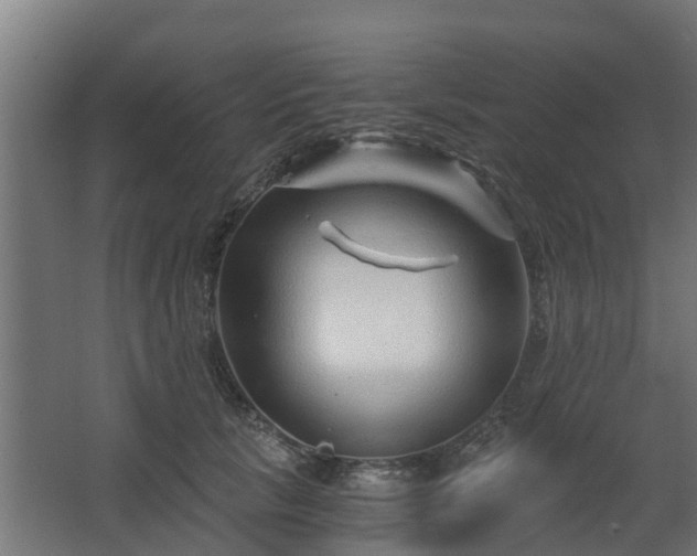 X0000068730657200605011000