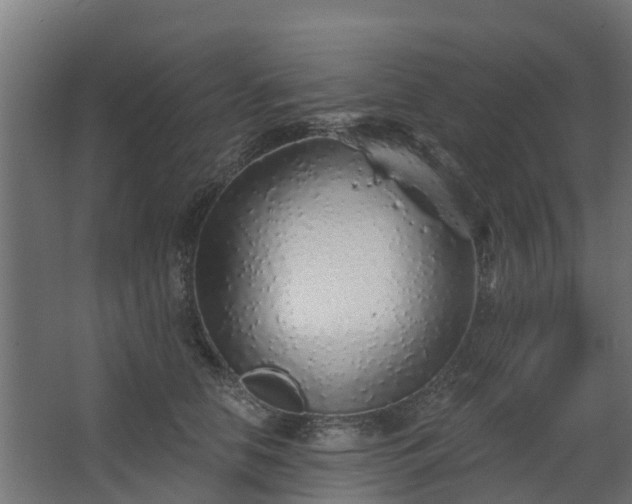 X0000068730658200605011000