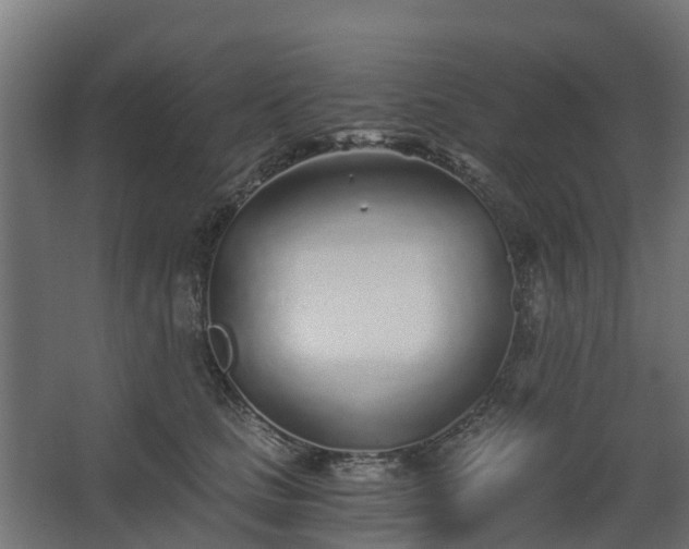 X0000068730661200605011000