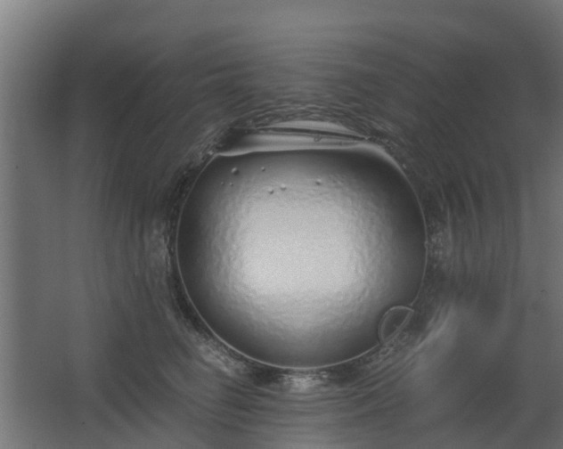 X0000068730662200605011000