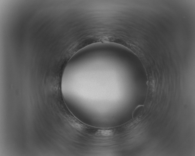 X0000068730665200605011001