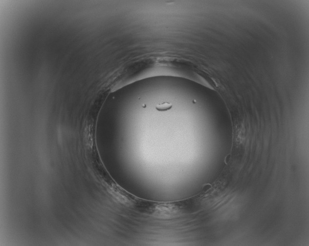 X0000068730666200605011001