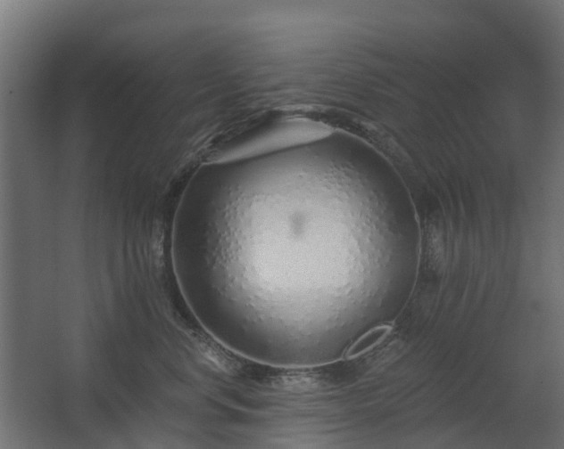 X0000068730668200605011001