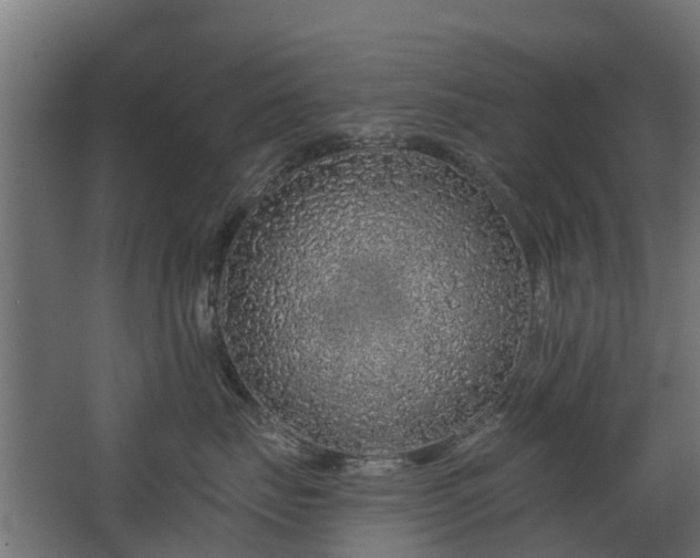 X0000068730671200605011001