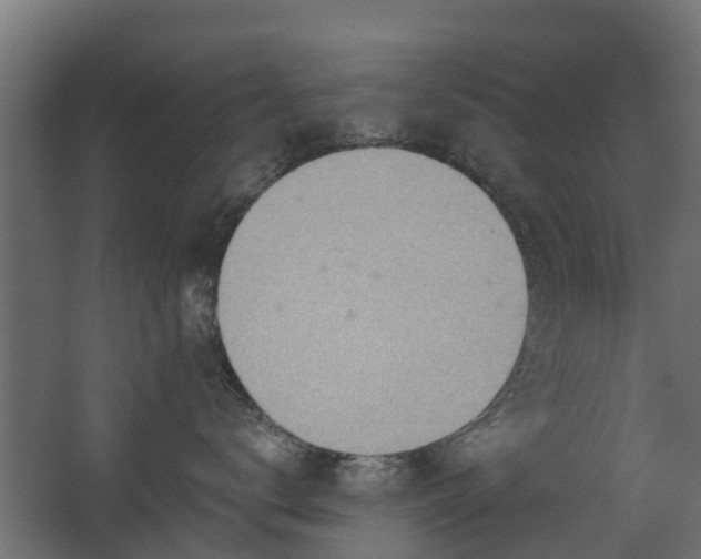 X0000068730672200605011001