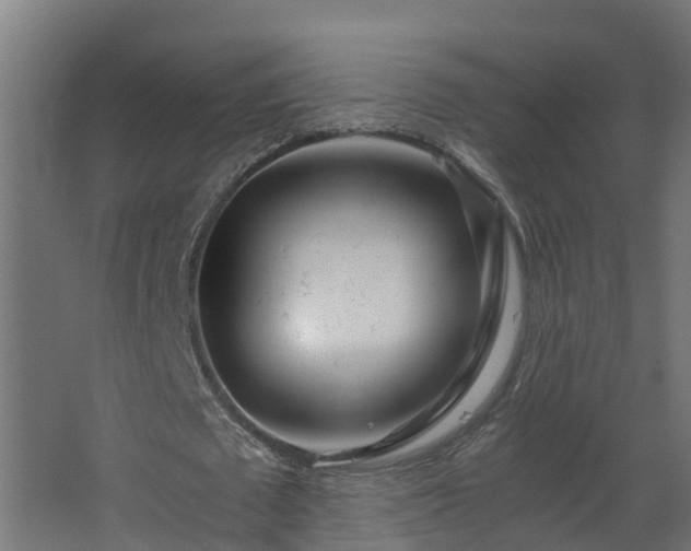 X0000068730673200605011000